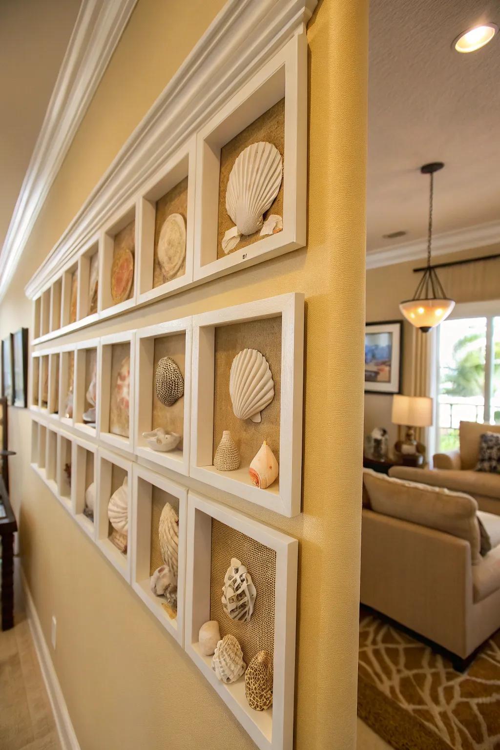 Highlight your seashell array with sophisticated display cases.
