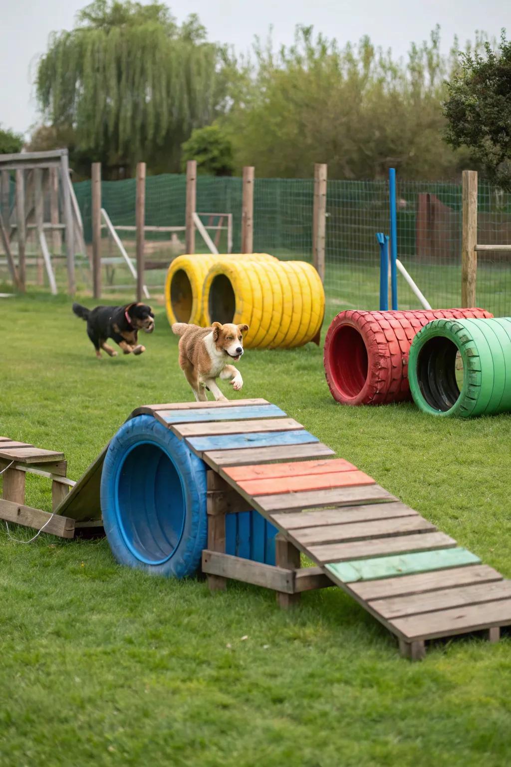 A captivating DIY agility course made with affordable, upcycled materials.