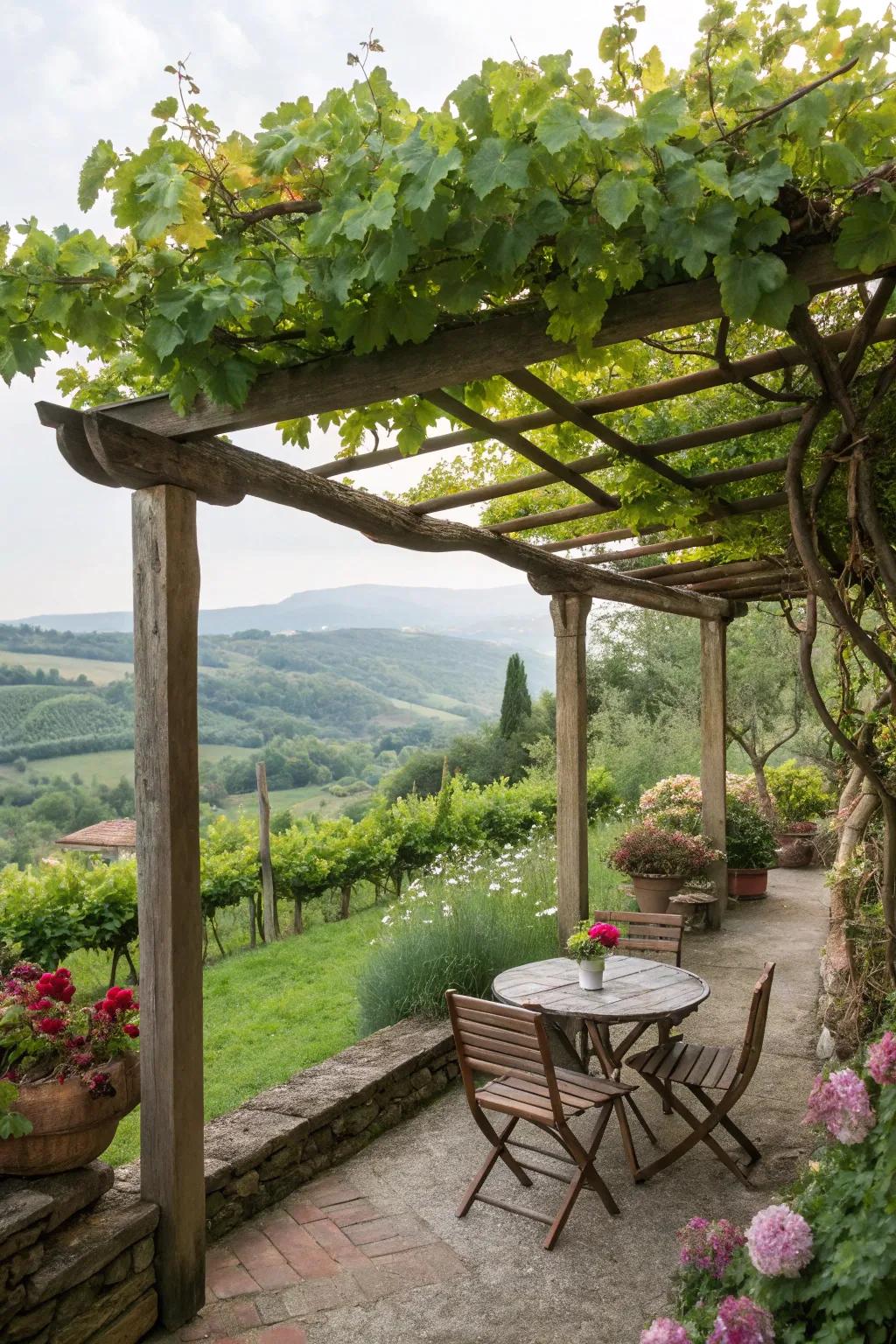 A timbered framework adorned with climbing vines provides a shaded sanctuary perfect for unwinding.