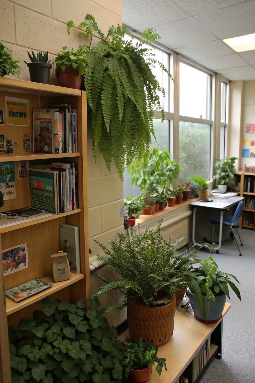 Lush flora produce a stimulating and welcoming classroom setting.