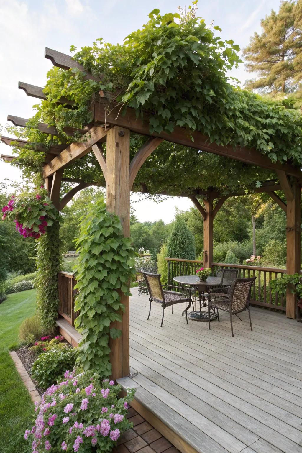 A pergola provides a stylish solution for shaded relaxation.