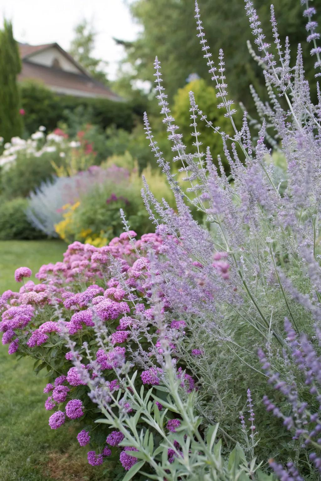 Grey Sage and Flutterby Plant showcase a captivating layered aesthetic.