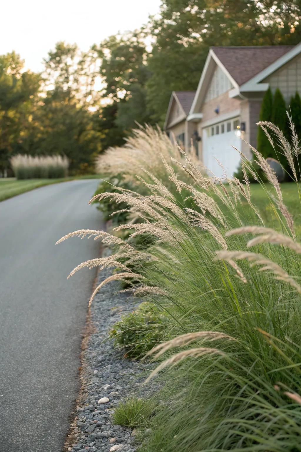 Decorative grasses offer fluidity and an elegant note.