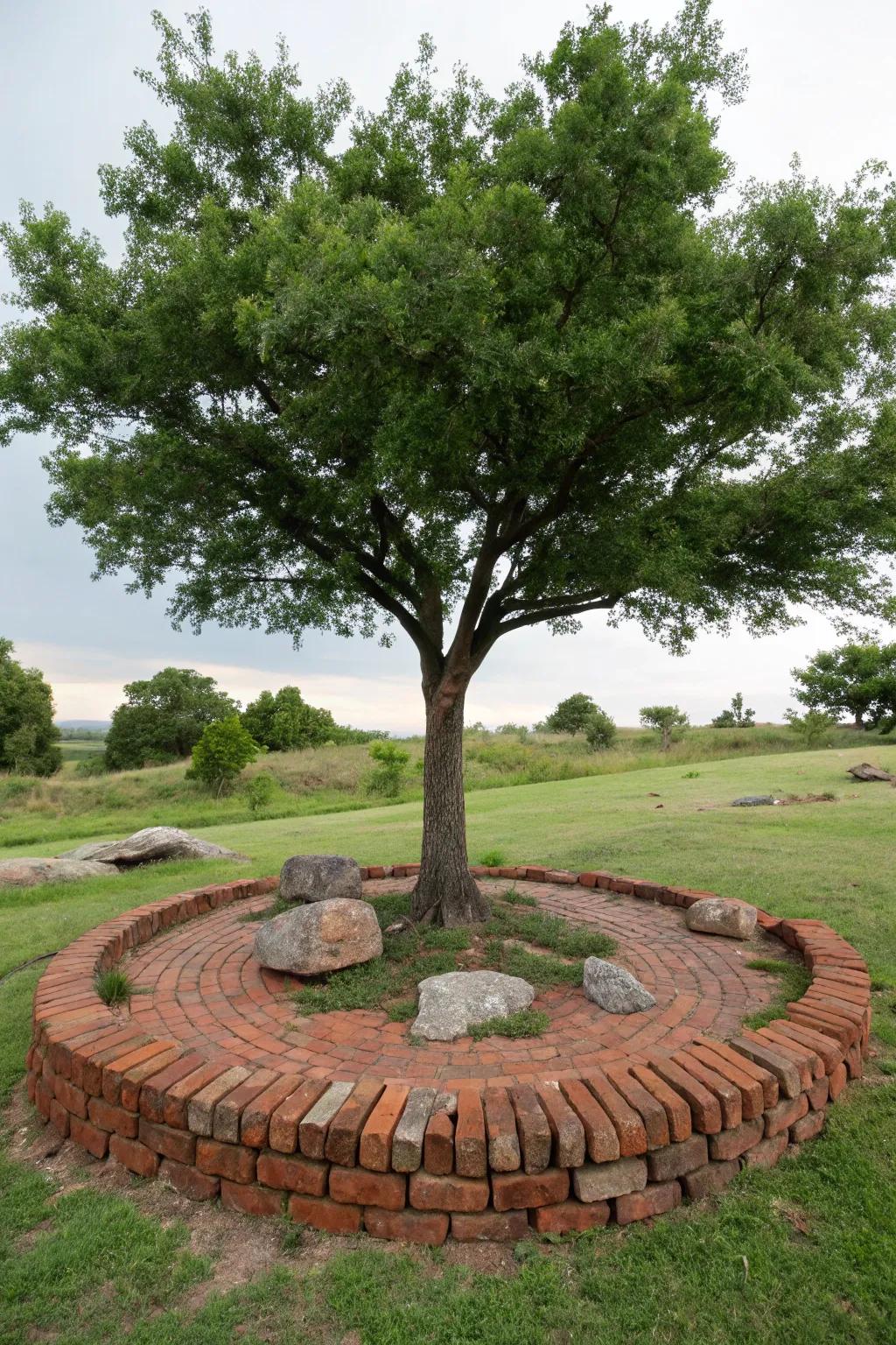Tree circles provide protection and a polished appearance.