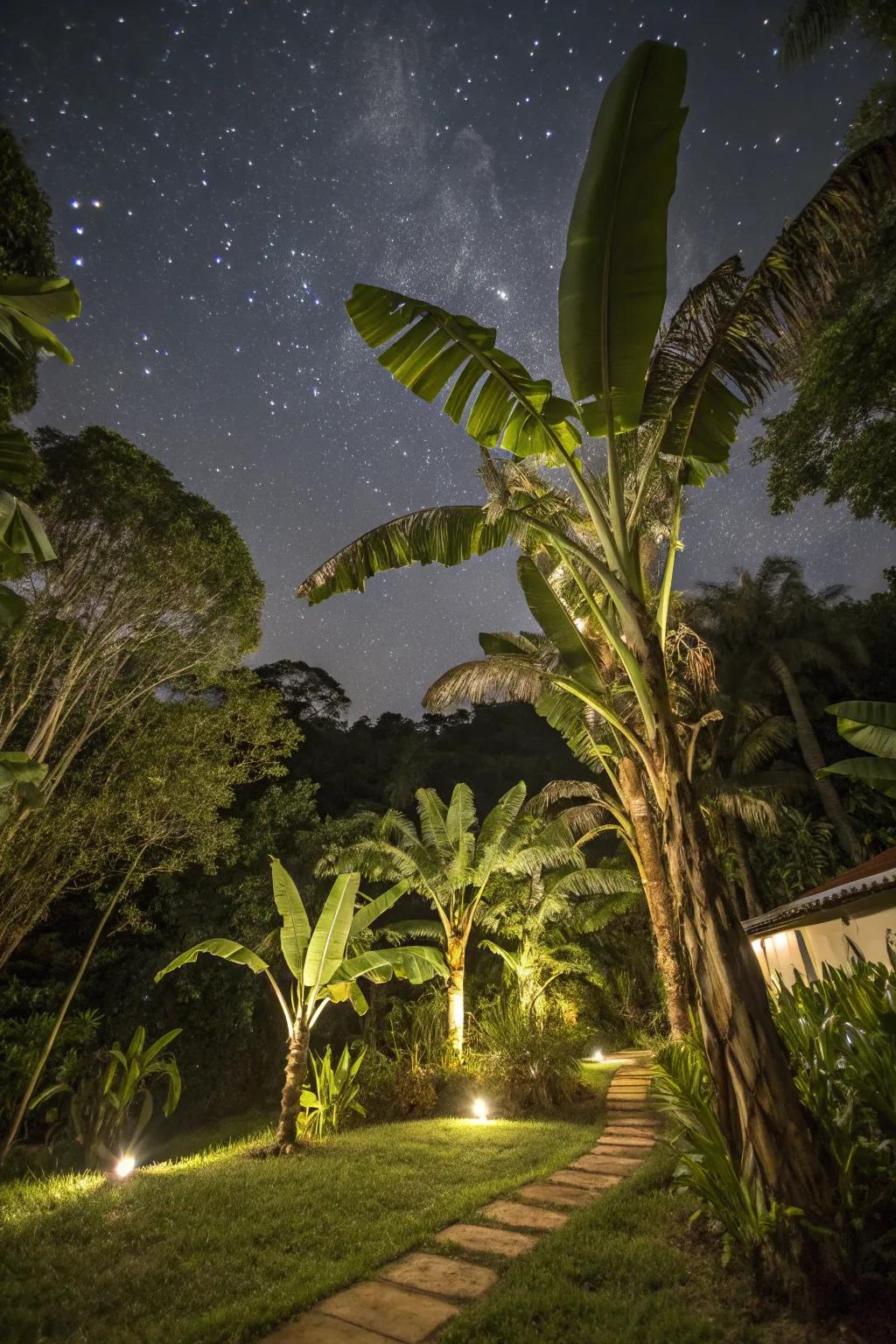 Transform your garden into a magical nightscape with illuminated tropical fruit trees.