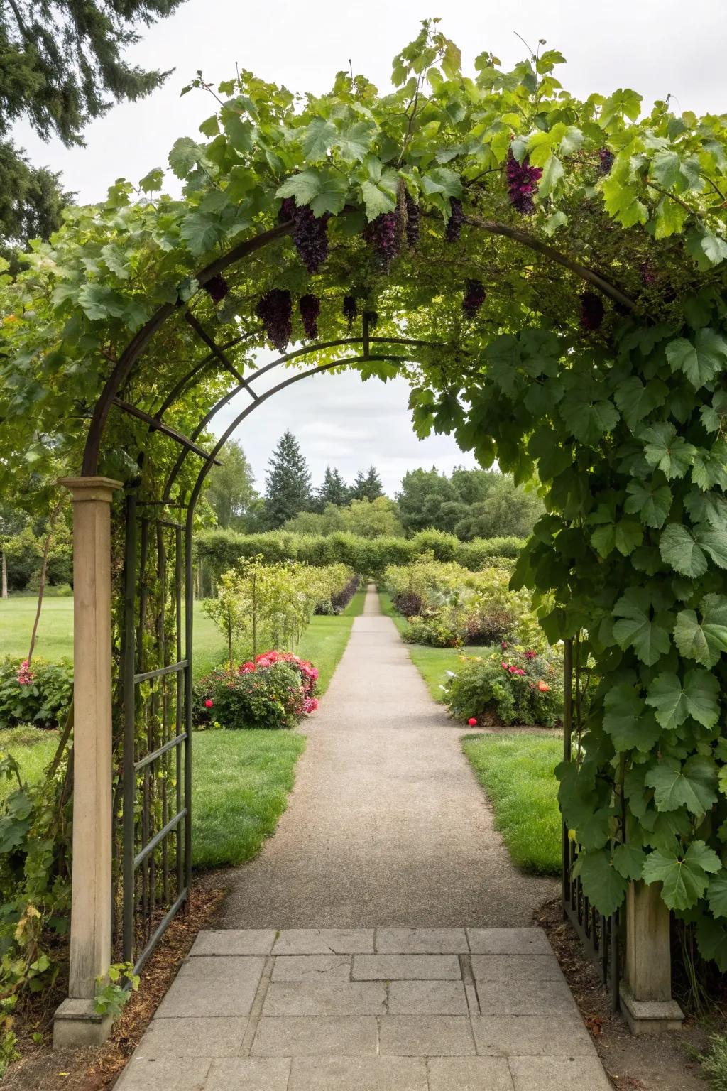 An appealing entrance with vibrant vines.
