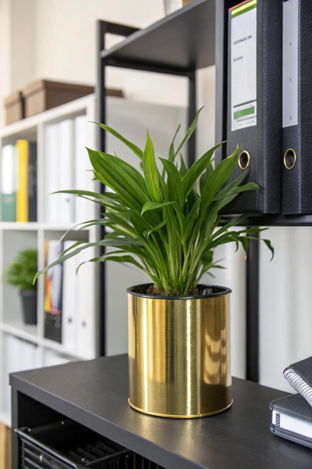 Gilded plant containers introduce a touch of nature and elegance to your workspace.