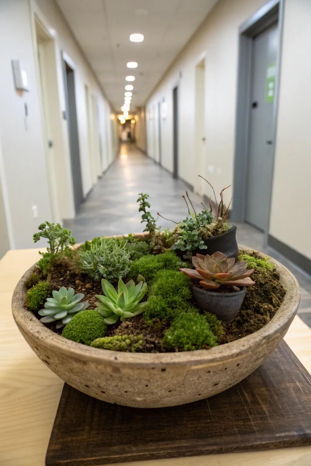 A fantastical mini garden inside your home