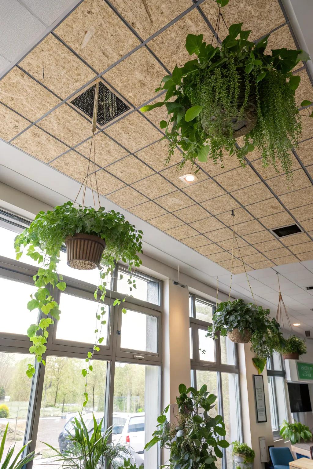 An eco-conscious room showcases reclaimed resource ceiling shingles.