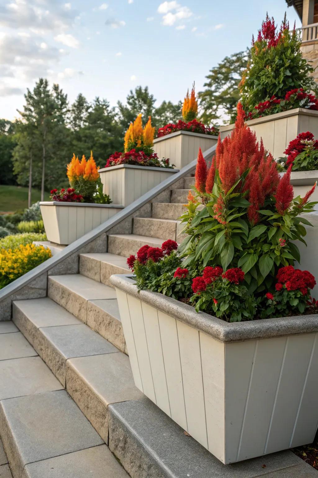 Tiered heights amplify the performance of Featherbloom displays.