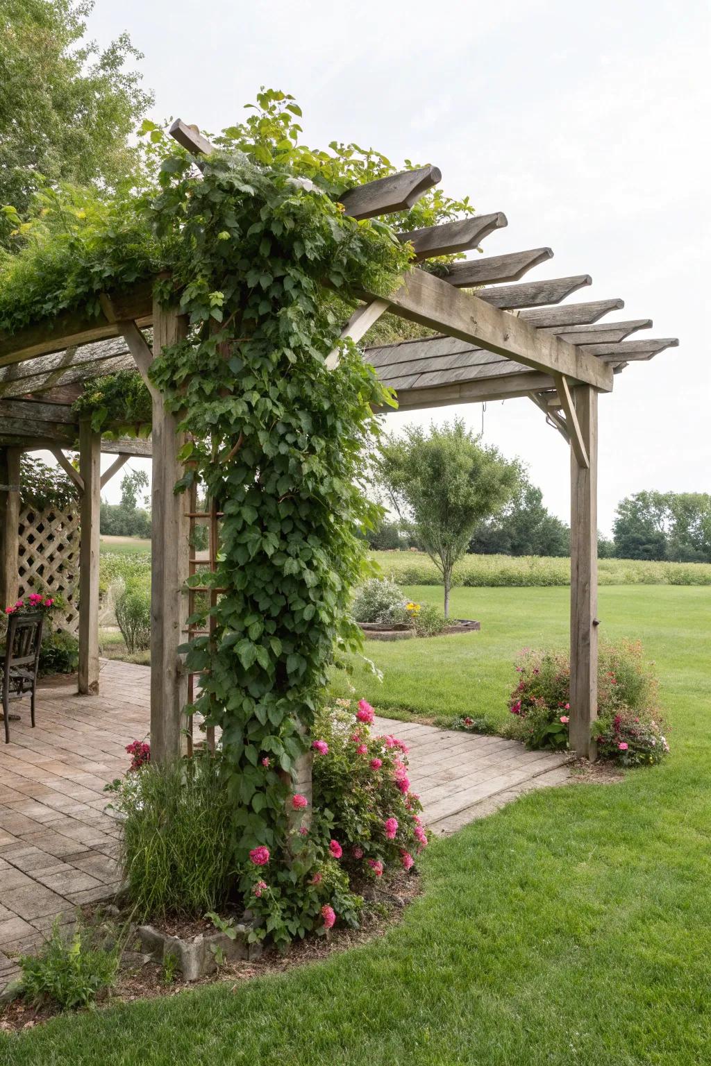 A vine shelter brings elegance and protection to your backyard.