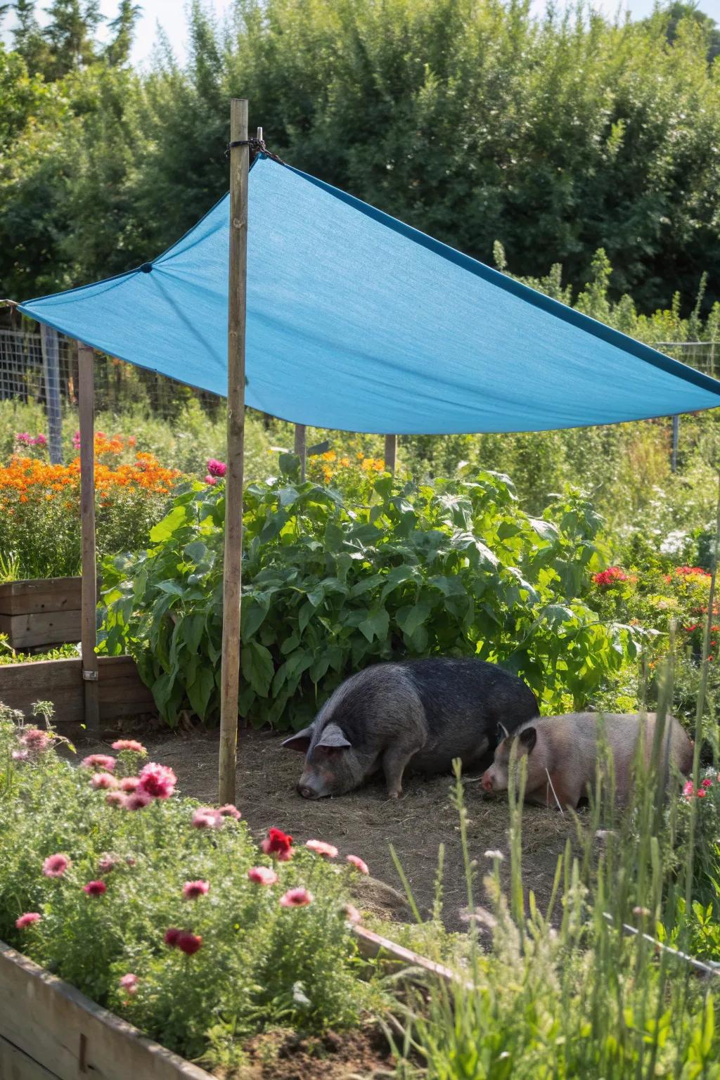 A cleverly concealed enclosure employing multipurpose concealment sails.