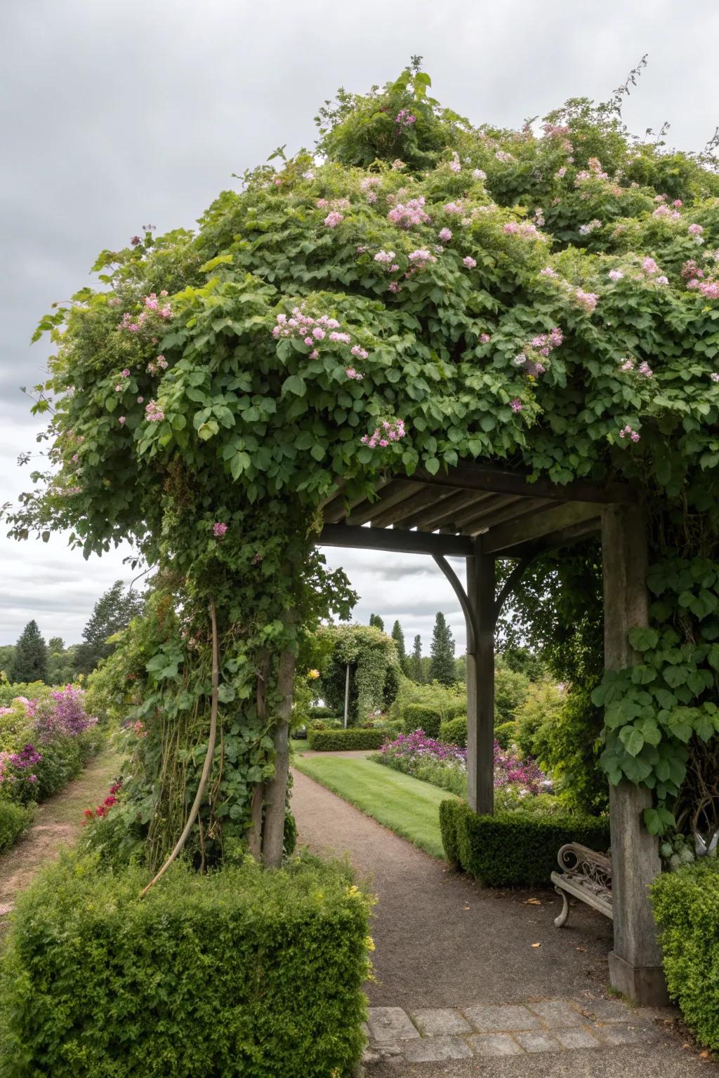 A clematis-covered arbor crafts a cool, inviting oasis, perfect for relaxation and escape.