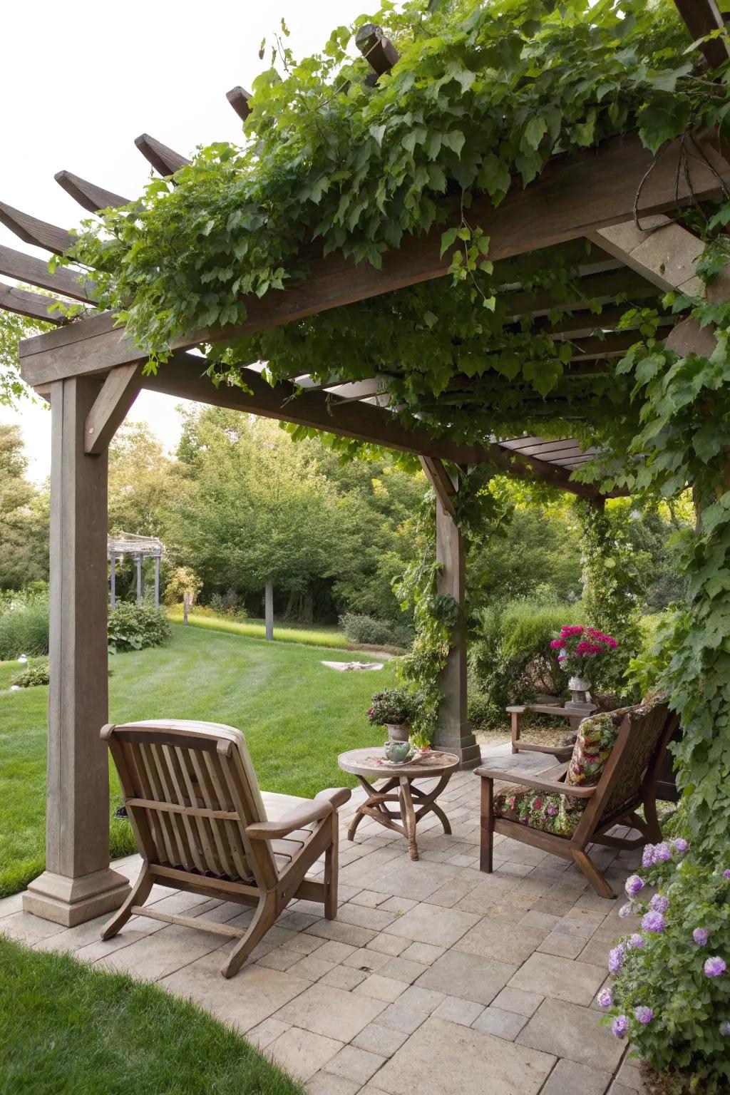 A pergola offers shade and appeal.