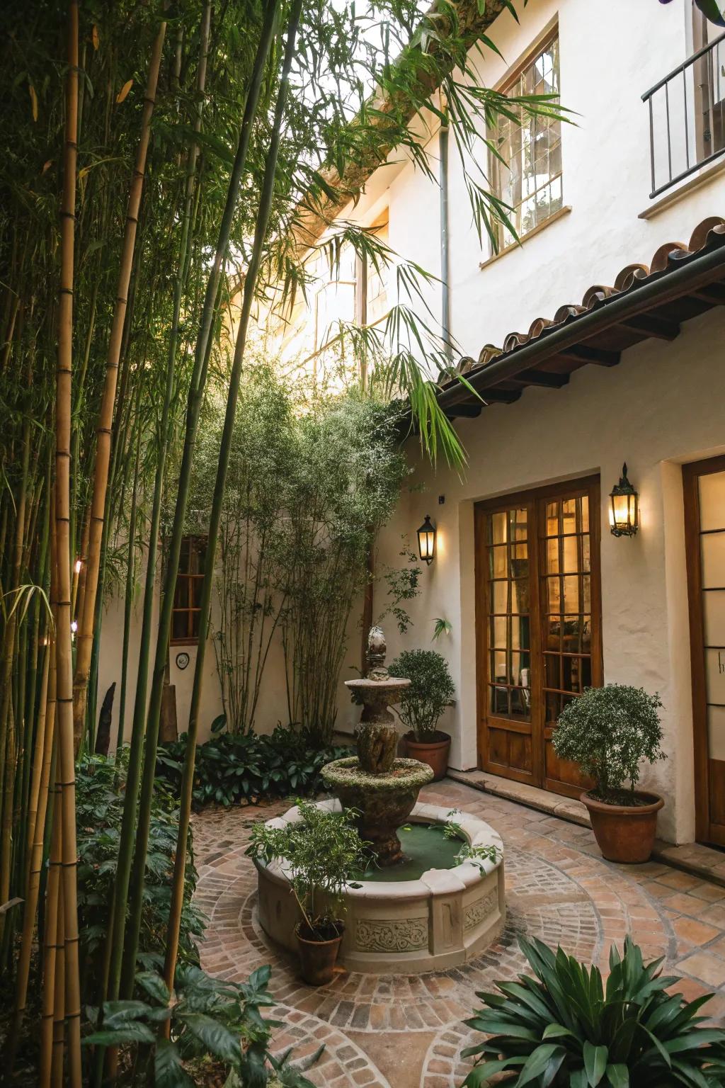 A secluded courtyard escape embraced by bamboo.