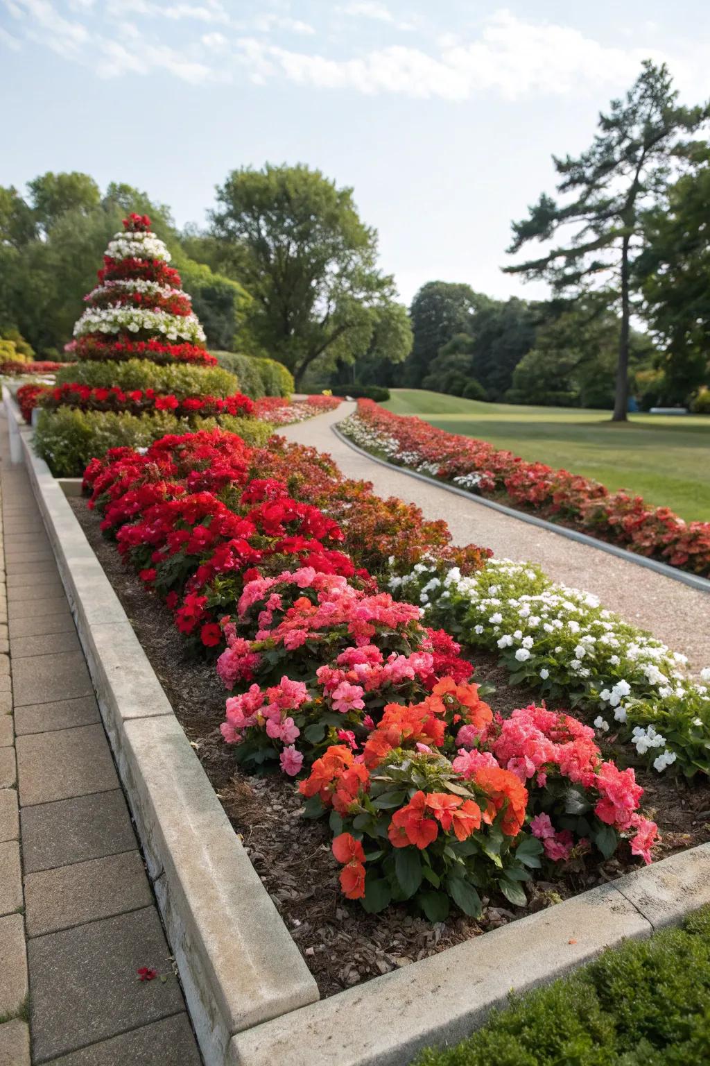 Layered begonia planting introduces dimension and color to garden beds.