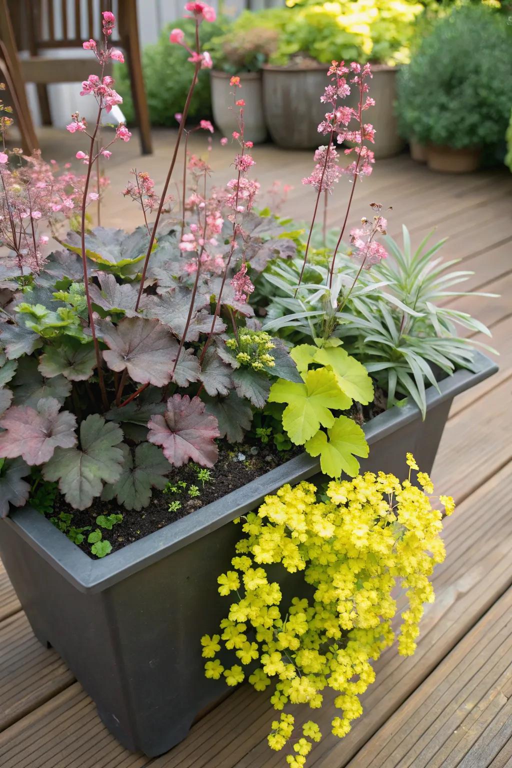 Huecheras coupled with creeping jenny form a whimsical potted garden.