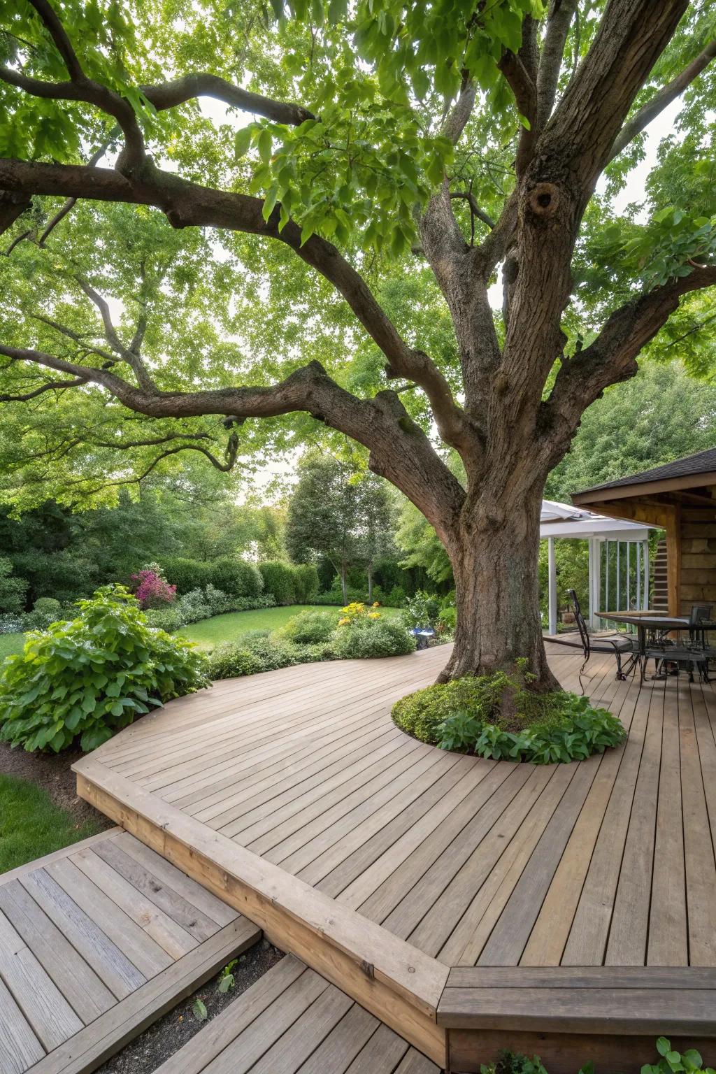 A tree becomes a central feature, adding natural beauty to this deck.