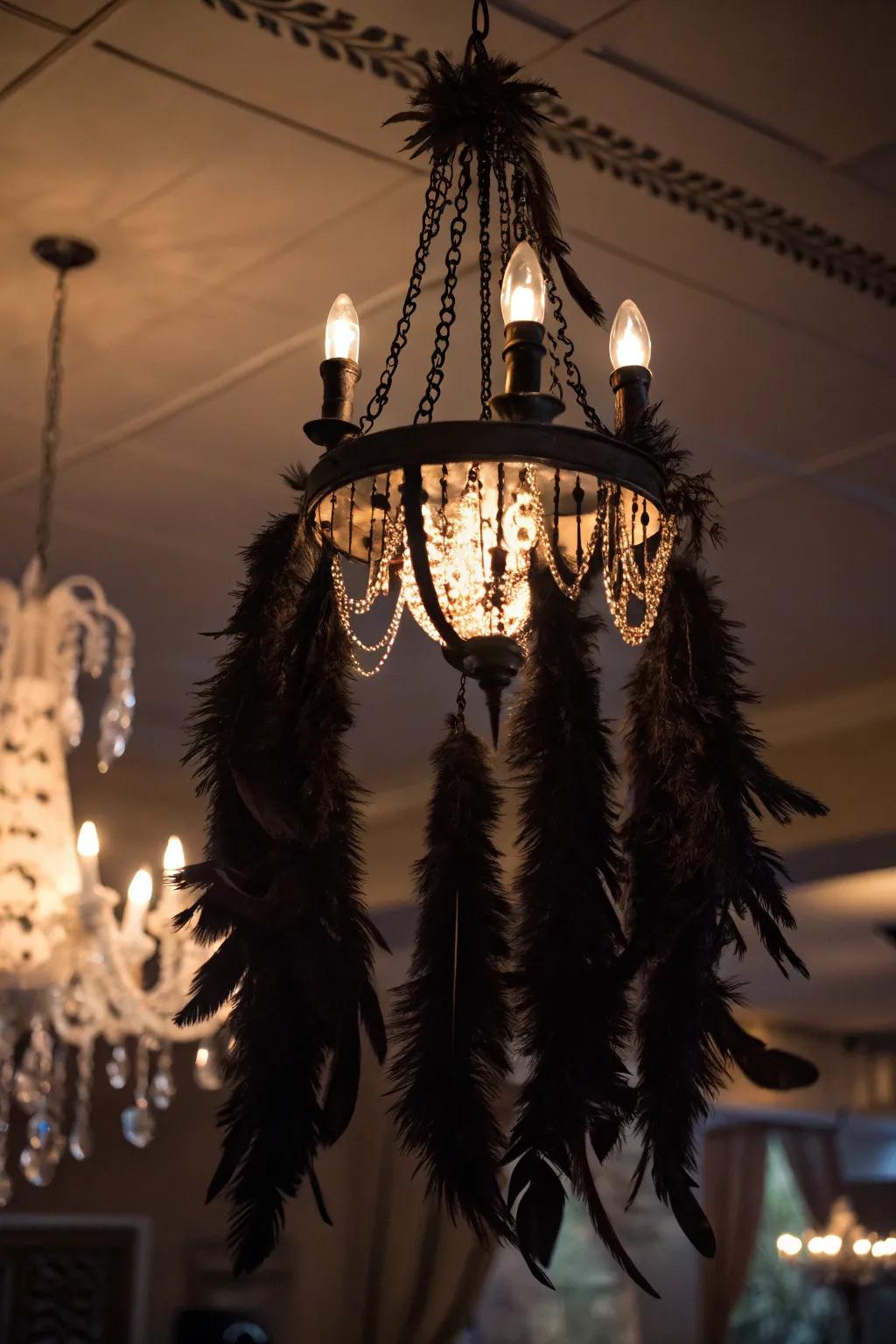 Plumage infuses a mystical accent to a Halloween chandelier.