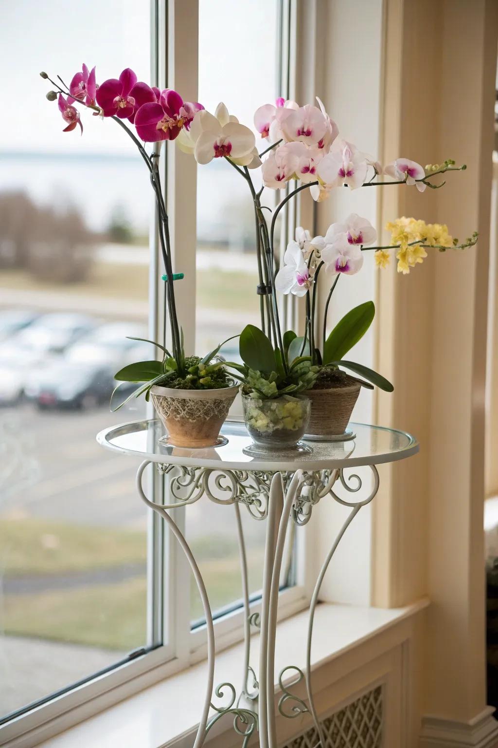 Achieve elegance with glass and metal plant stands.