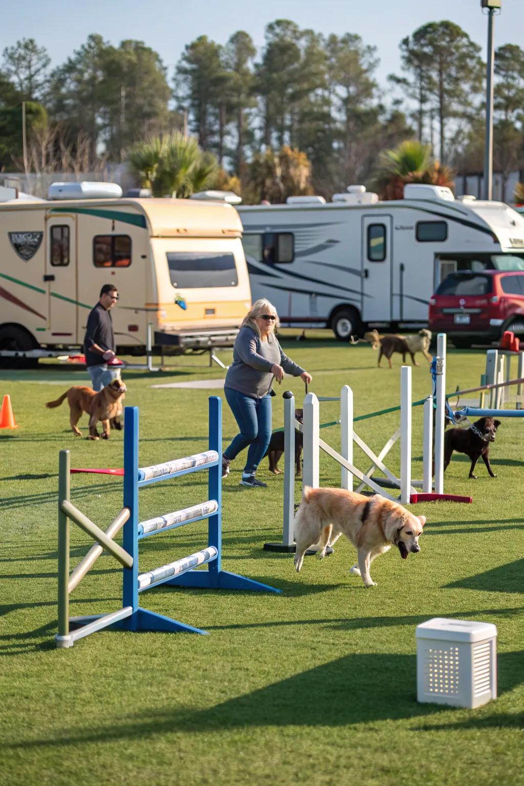 Pet-friendly zones that cater to visitors with furry companions.