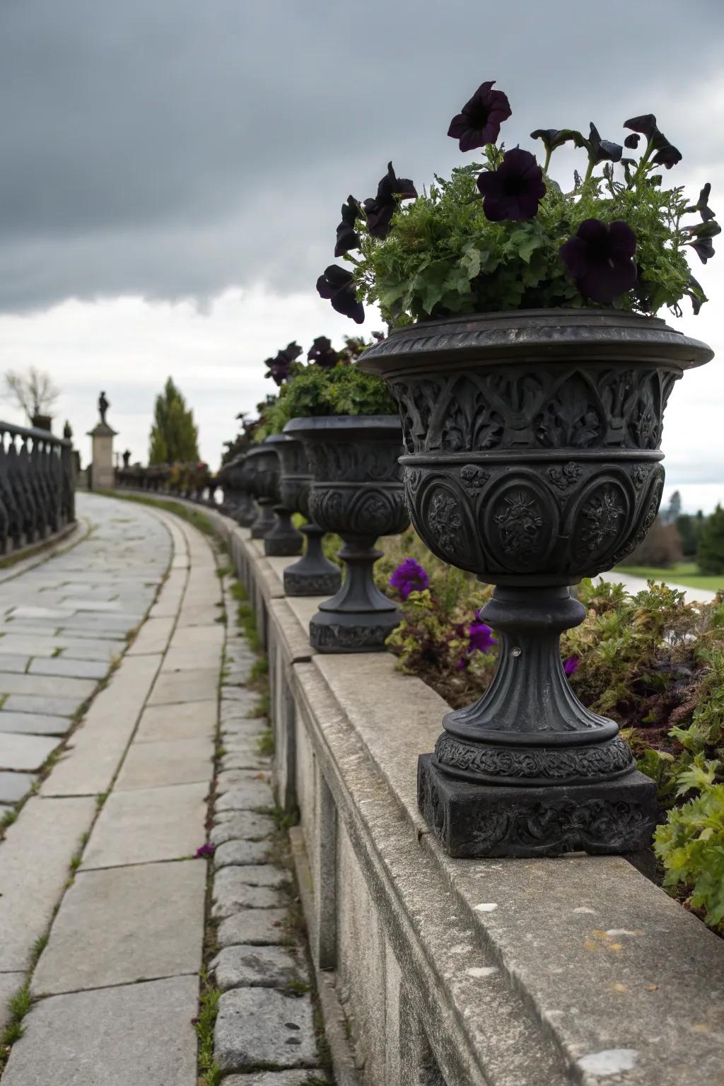 Gothic-styled pots exhibiting jet-hued petunias