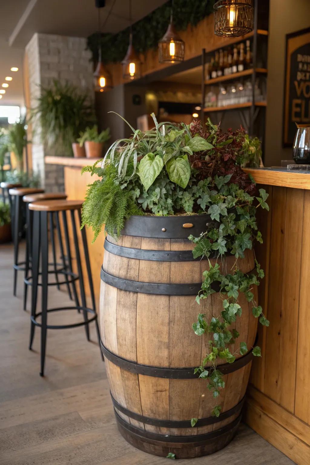 Make your room better with distiller's barrel pots that bring a touch of nature inside.