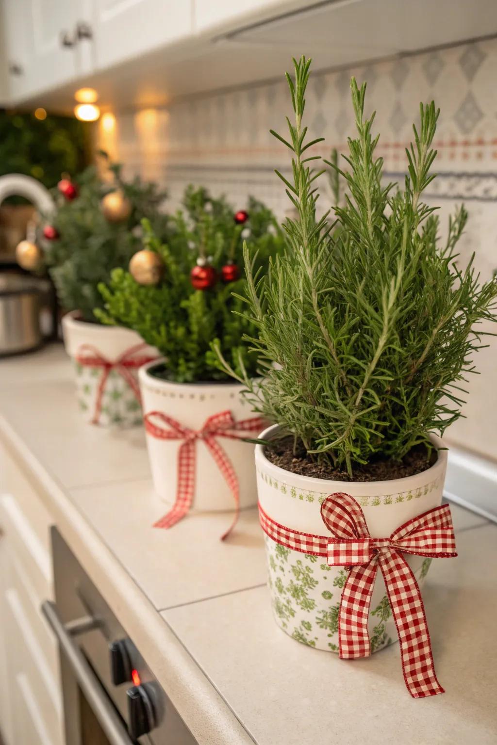 Herbs with a holiday theme inject fragrance and visual appeal into the cooking space.