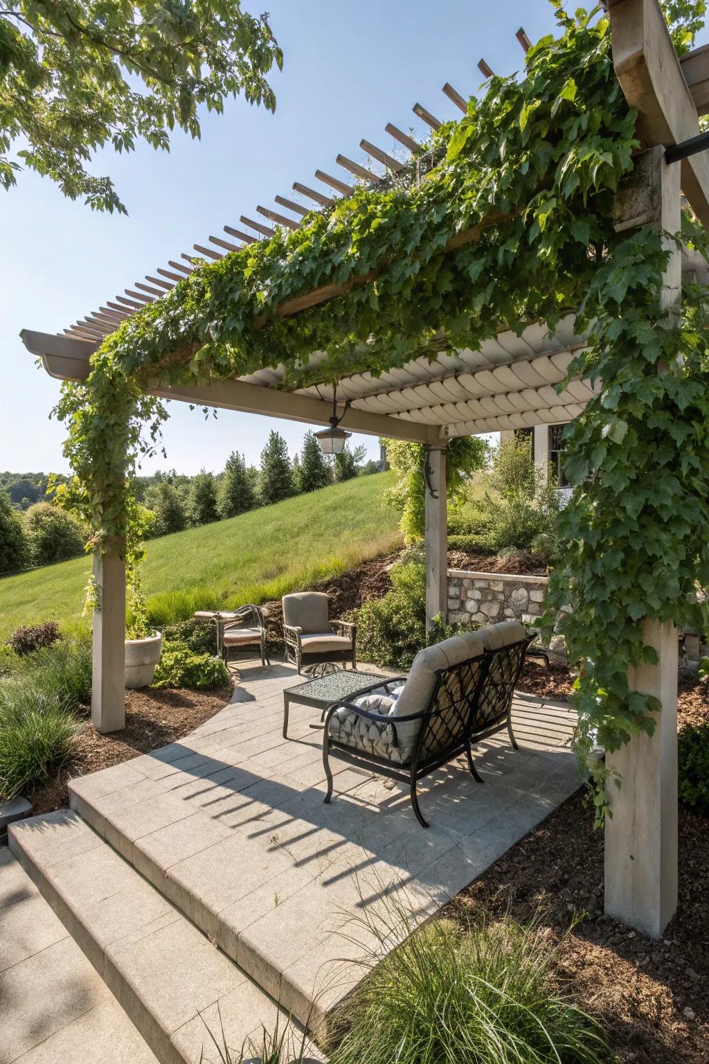Pergolas furnish shade and panache to your sloped backyard seating zones.
