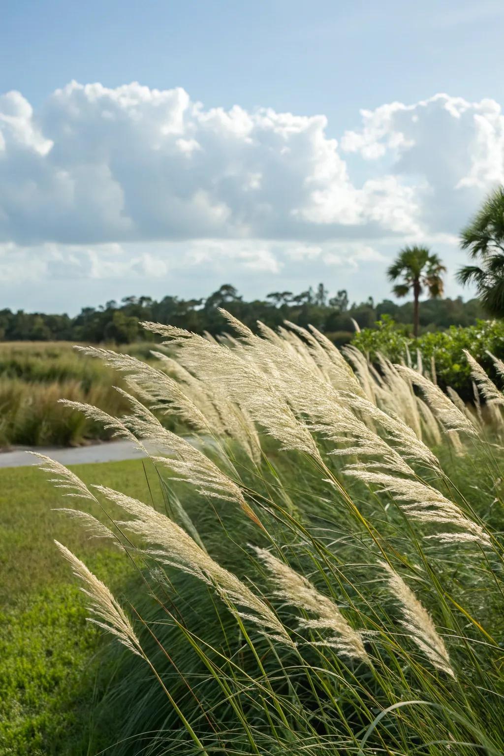 Ornamental grasses give texture and movement to your garden.