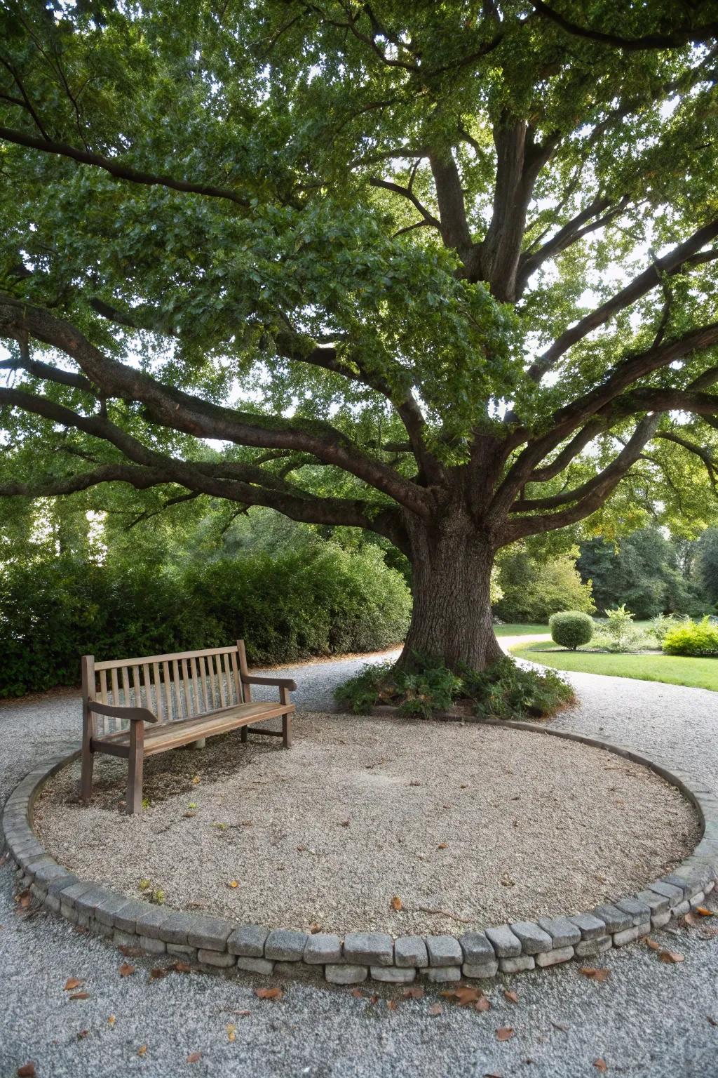An ornamental circle accentuating a majestic tree.