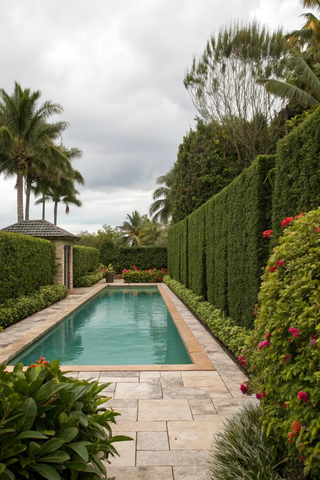 Enhance privacy with lush hedges encircling your pool.