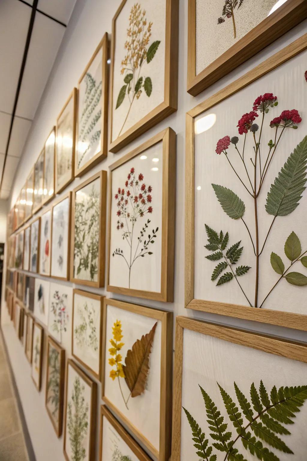 Botanical frames contribute a natural element to your decor.