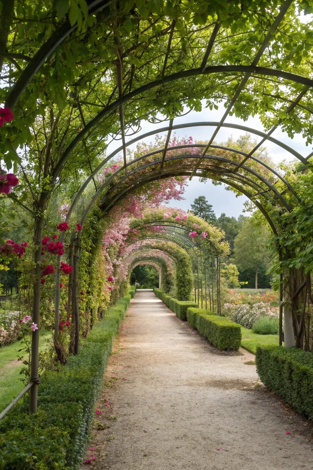 A tunnel of arches creates a stunning and inviting garden pathway.