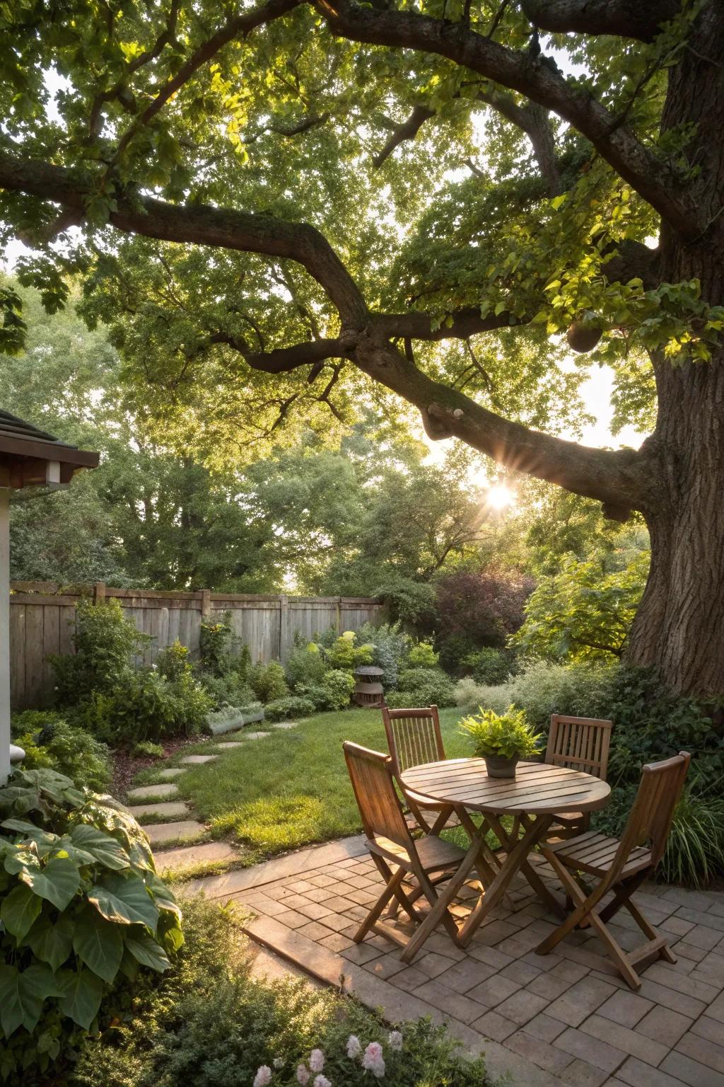 A tree cover offers natural shade and beauty.