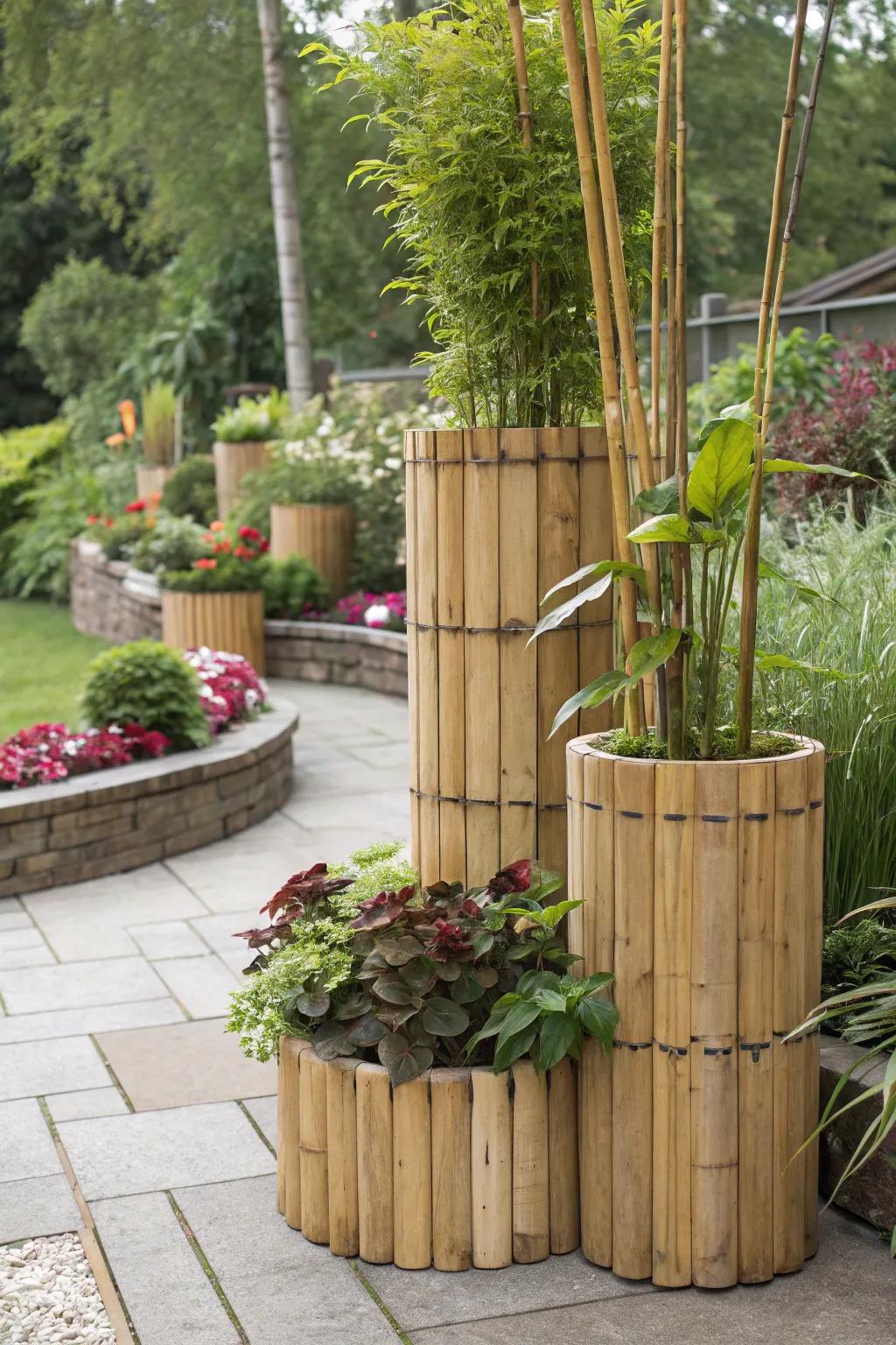 Bamboo vases provide adaptable plant display options.