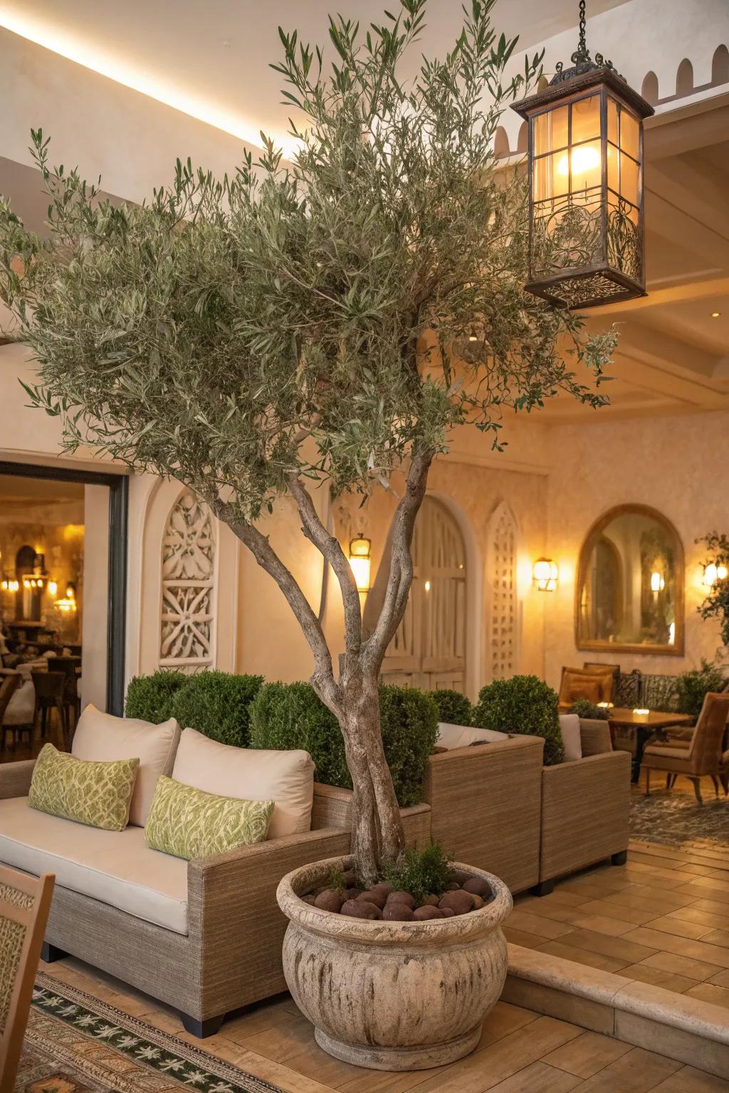 Construct a Mediterranean lounge with a faux olive tree.