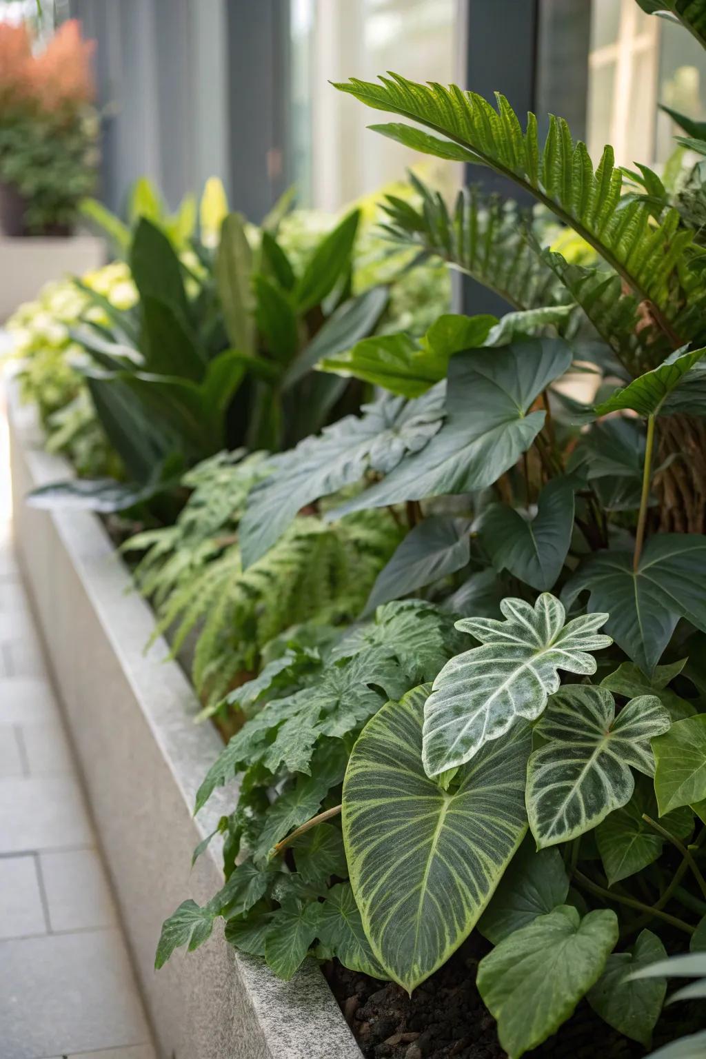 A variety of textures enhance a plant display.