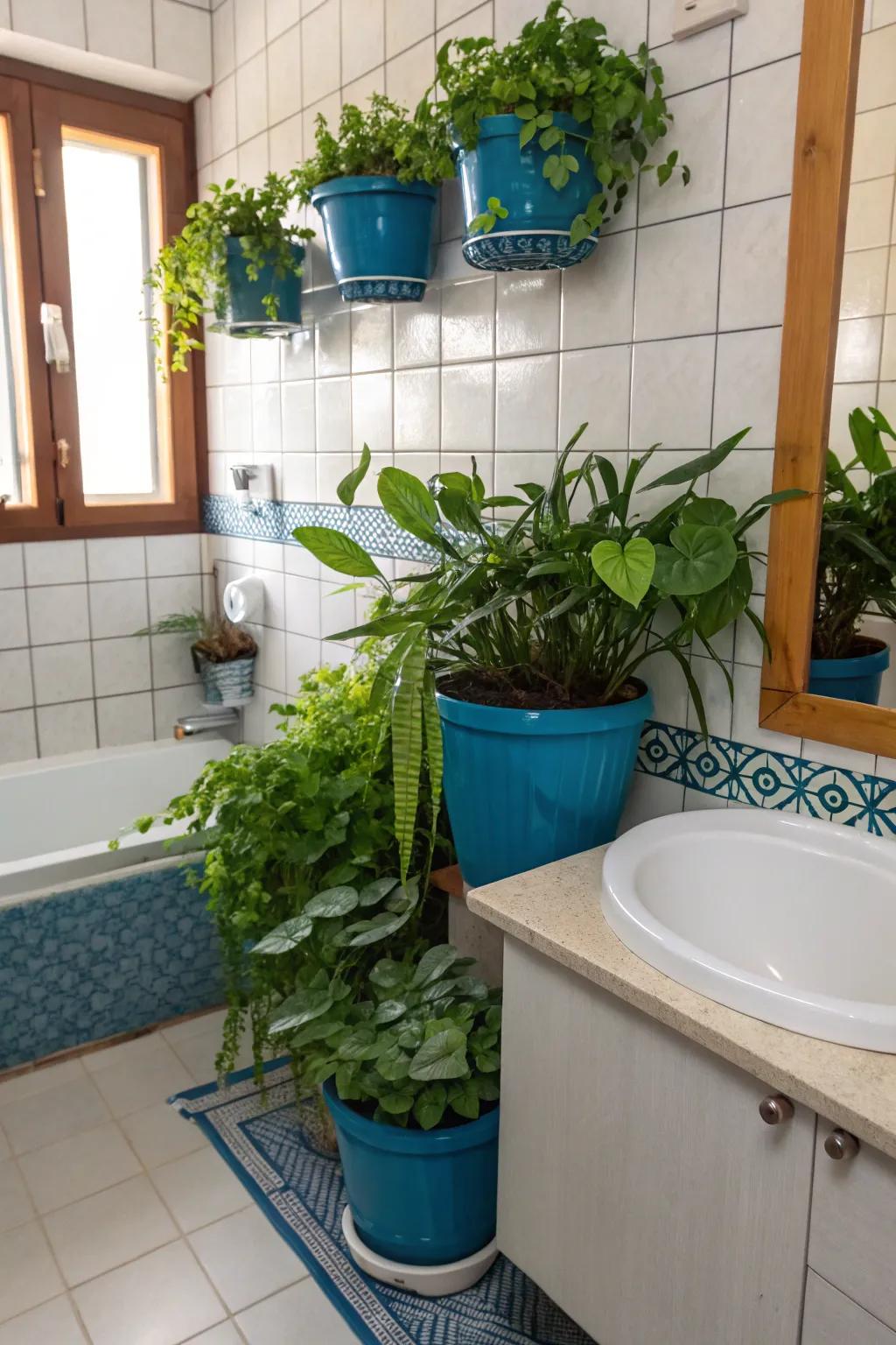 Blue planters and trimmings bring a refreshing and vibrant energy to the bathroom.