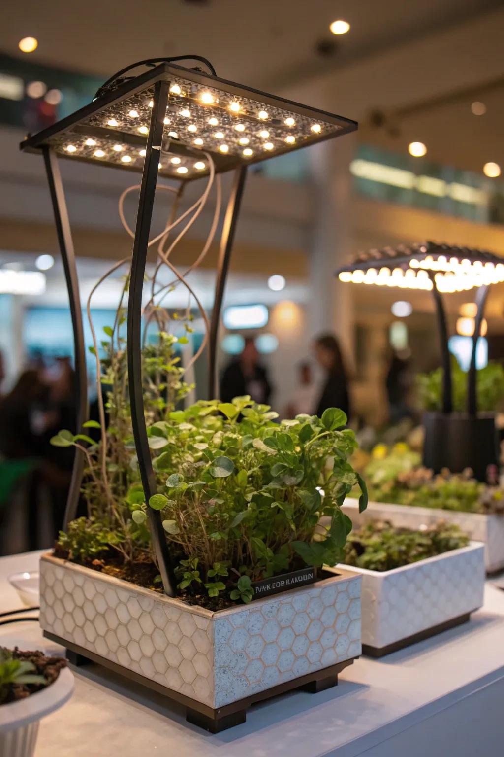 An artistic plant light sculpture, transforming plants into a captivating display.