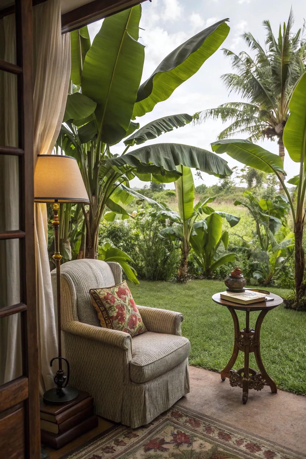 Escape into a good book in a lush reading nook surrounded by tropical fruit trees.
