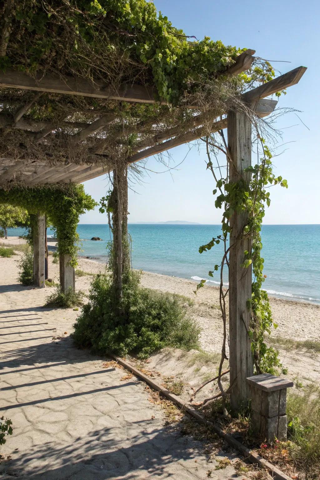 A chic pergola offering shade and a spot to unwind.