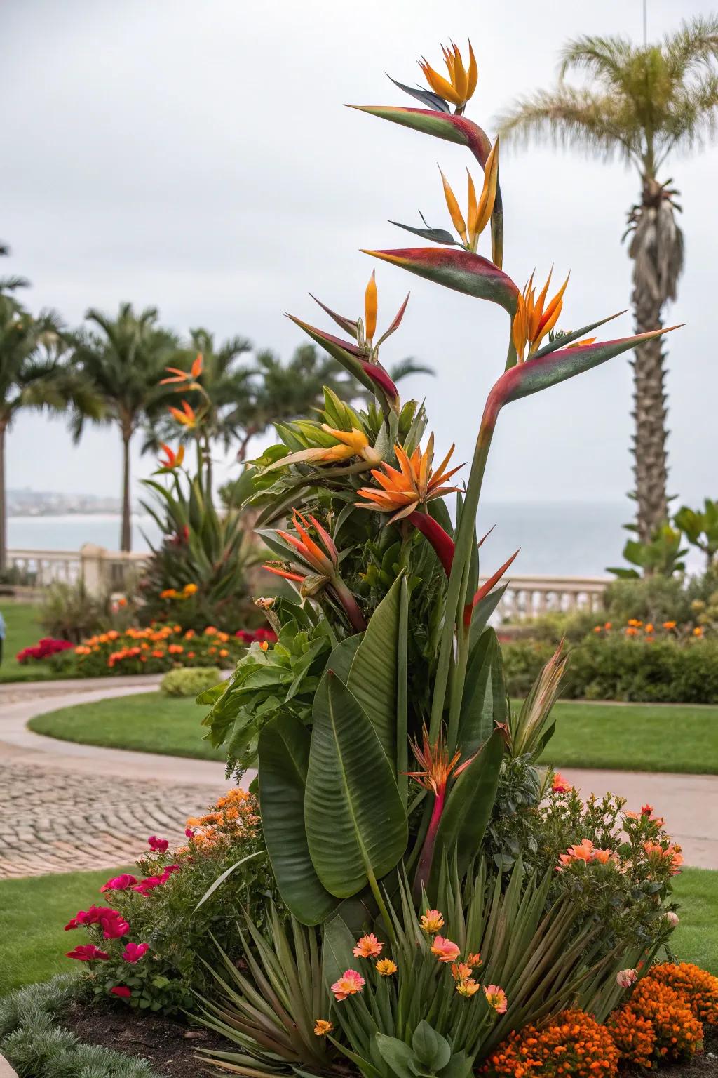 Transform Bird of Paradise into living art with creative shaping.