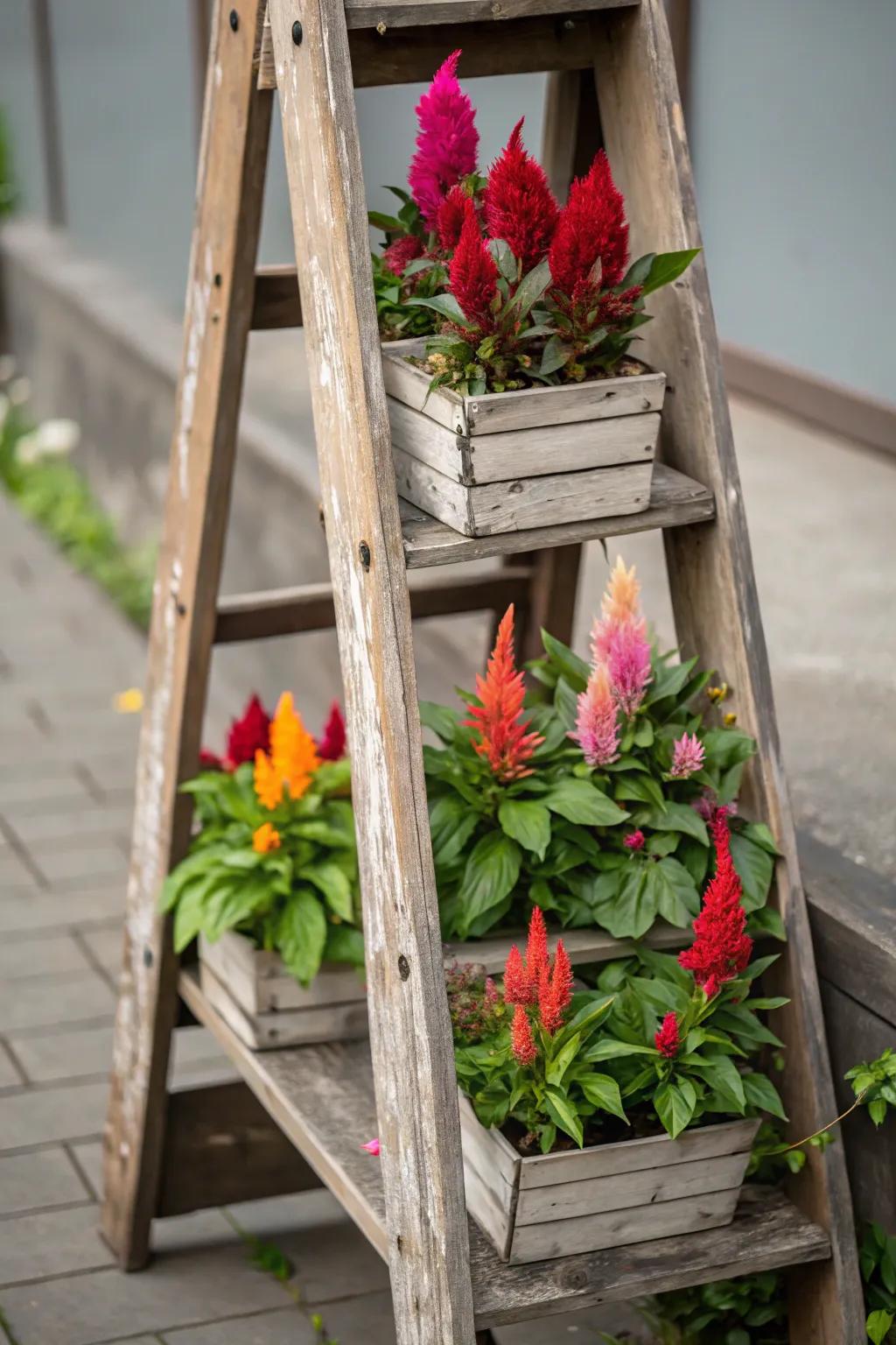 A vertical stepped botanical bed maximizes space through flair.