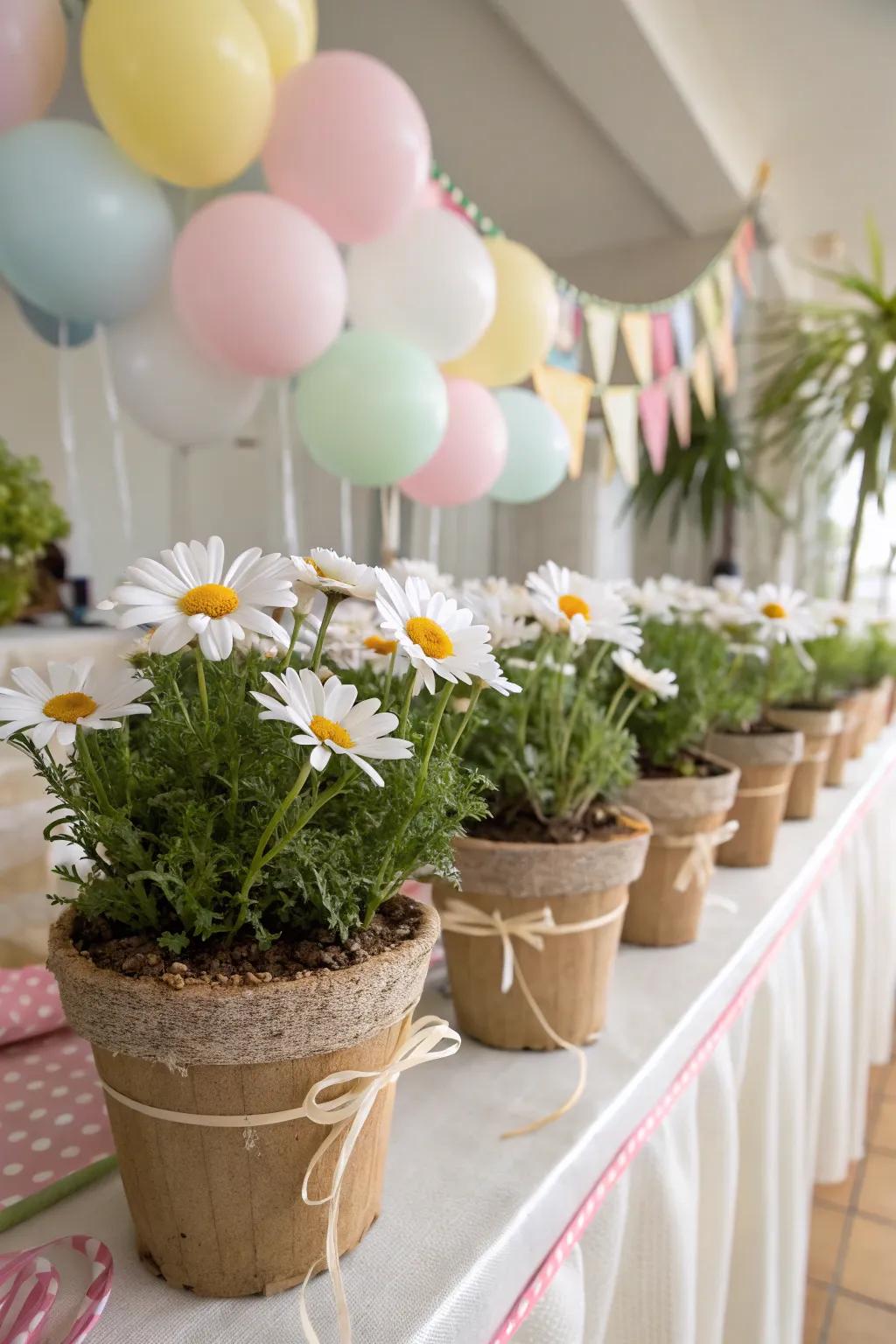 Opt for eco-friendly daisy decor.