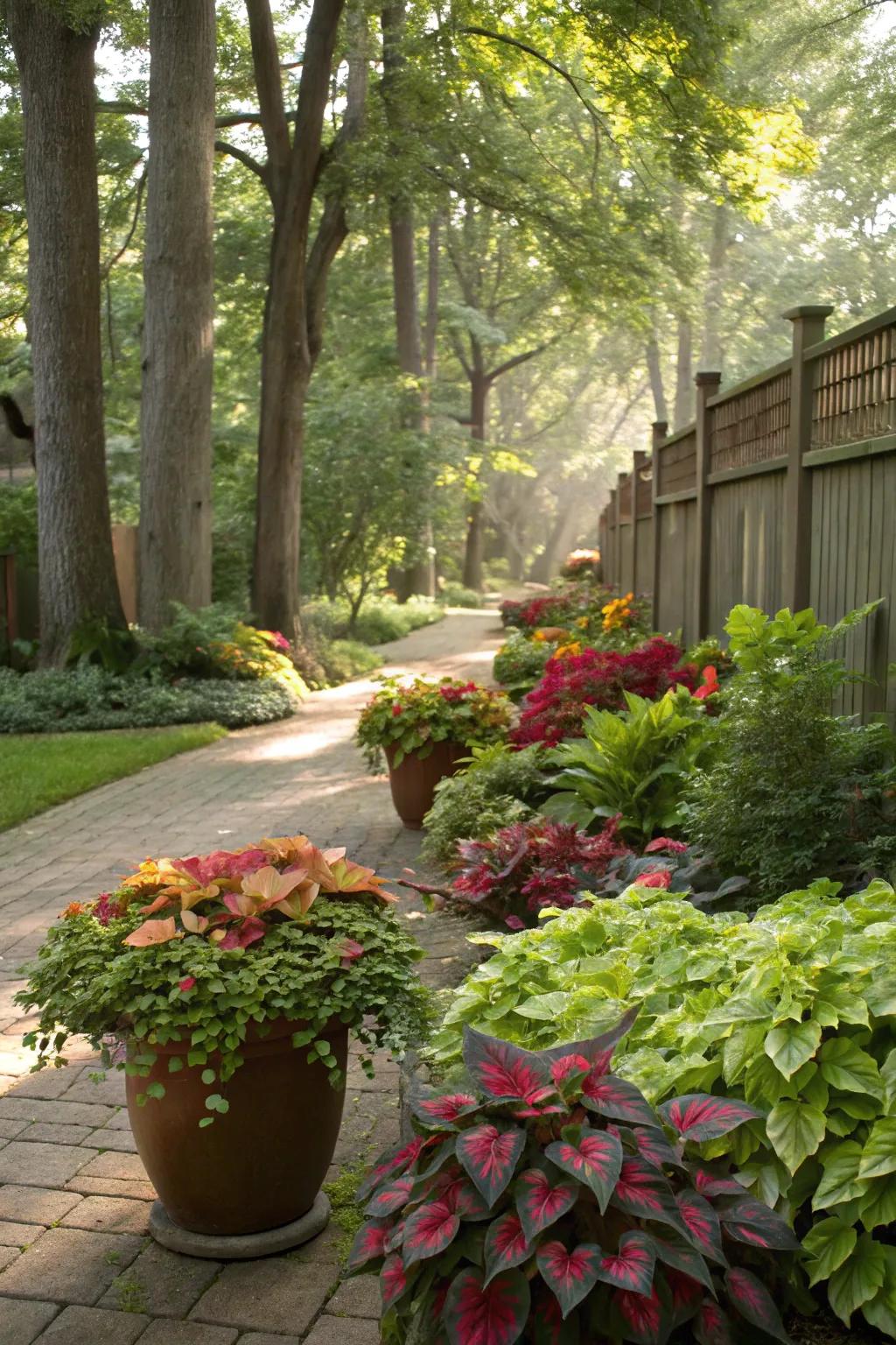 Potted plants offer versatility and pops of color.