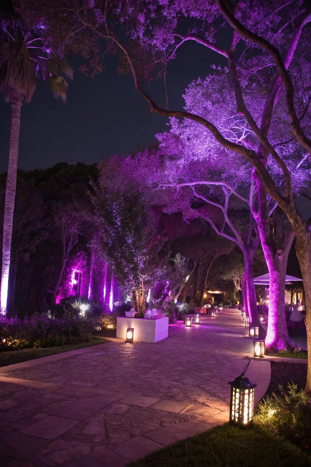 An enchanting outdoor space illuminated with plum-themed lights.