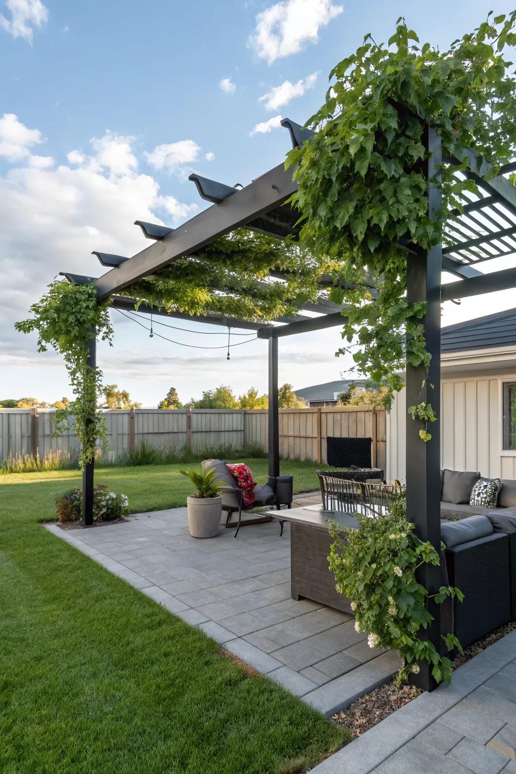 Shade structures furnish comfort and fashion.