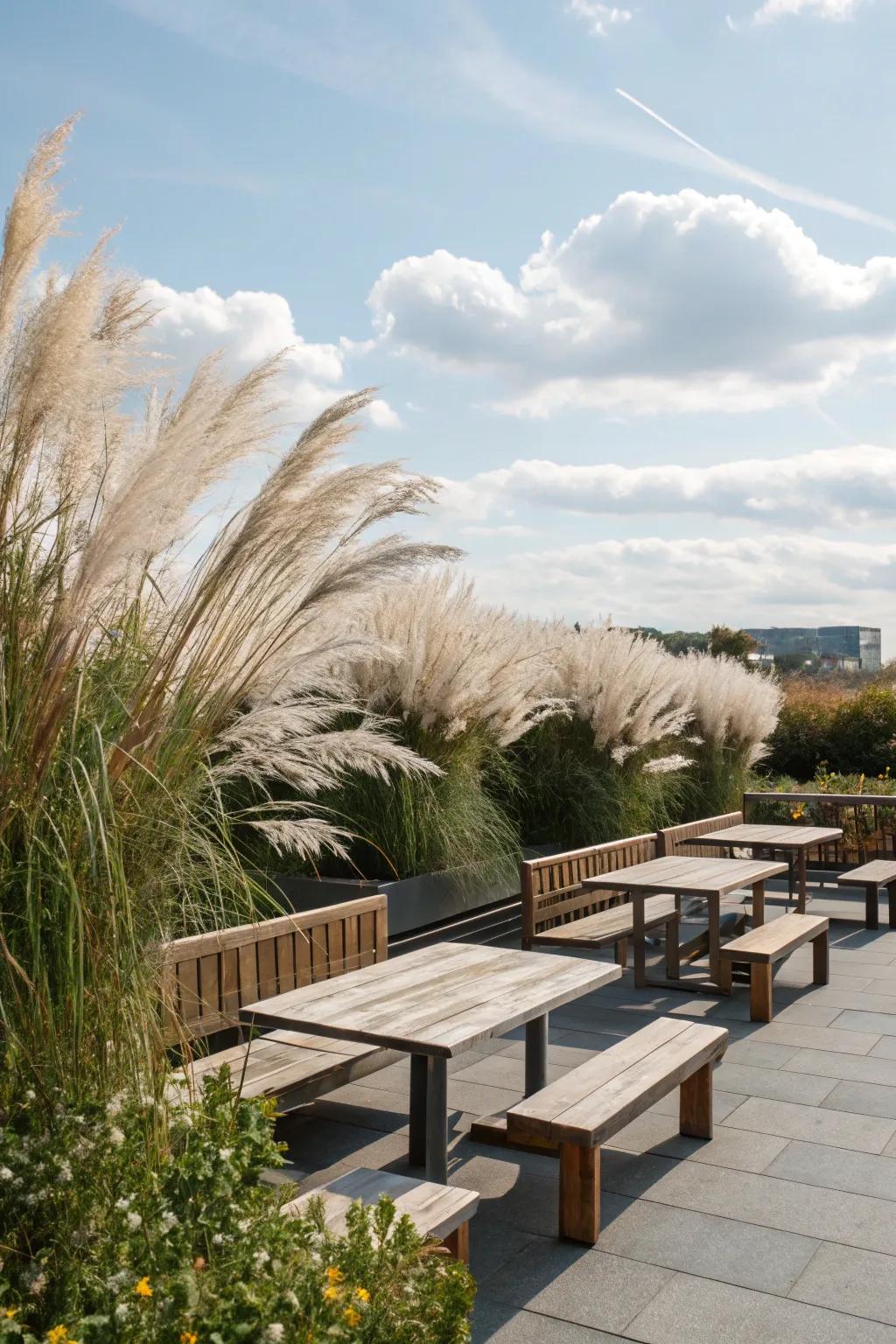 A breezy backdrop of grasses enhances outdoor seating areas.
