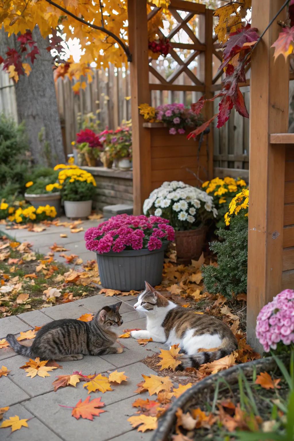Seasonal decorations introduce variety and a festive spirit.
